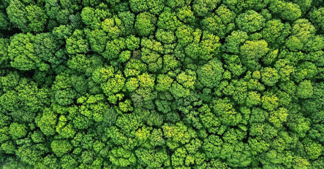 01_Basis/Bilder/AdobeStock_207714693.png