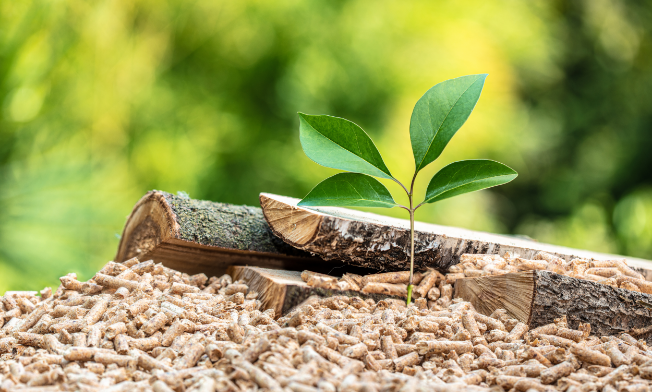 01_Basis/Bilder/AdobeStock_378134424.png