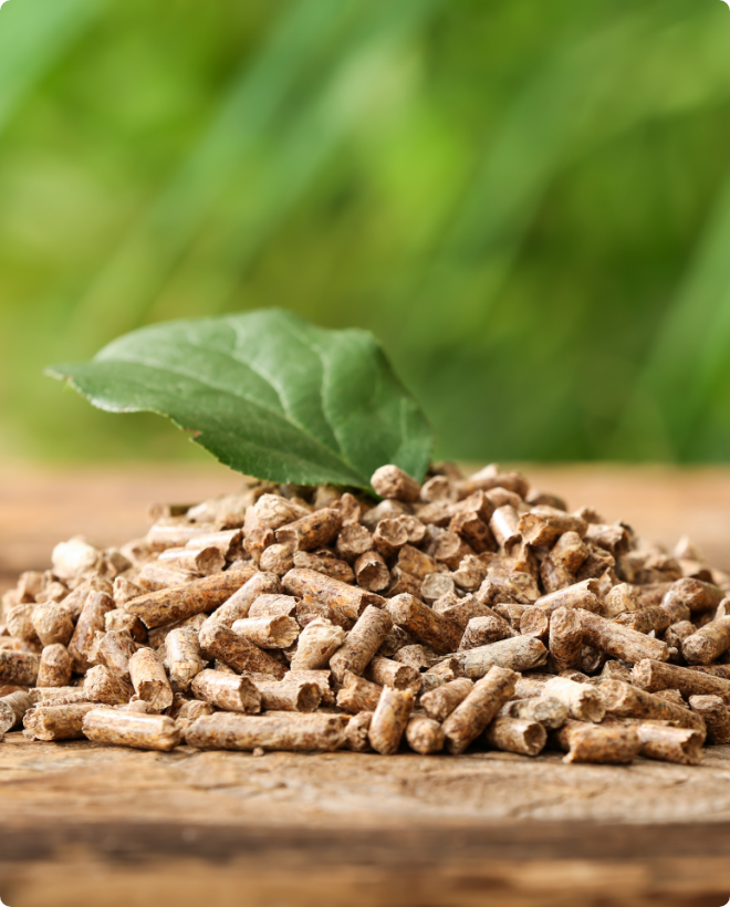 01_Basis/Bilder/AdobeStock_490786509.png